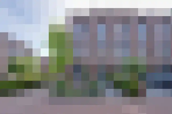 Thalassa 17 Wormerveer thumbnail 5