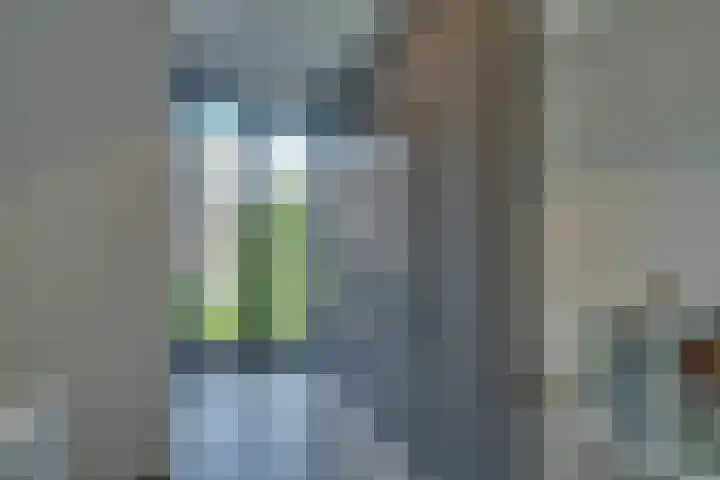 Thalassa 17 Wormerveer thumbnail 51