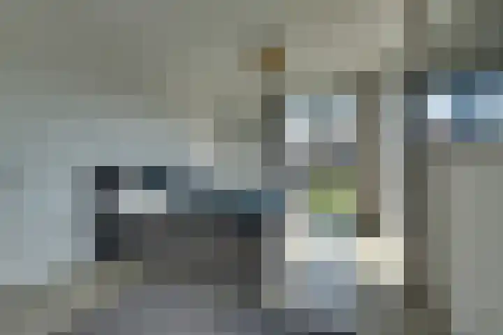 Thalassa 17 Wormerveer thumbnail 59