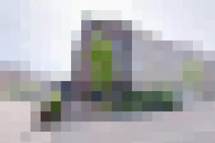Thalassa 17 Wormerveer thumbnail 7