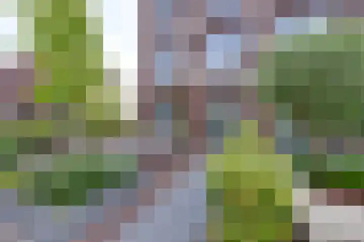 Thalassa 17 Wormerveer thumbnail 8