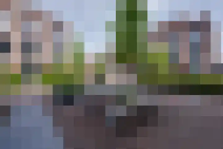 Thalassa 17 Wormerveer thumbnail 9