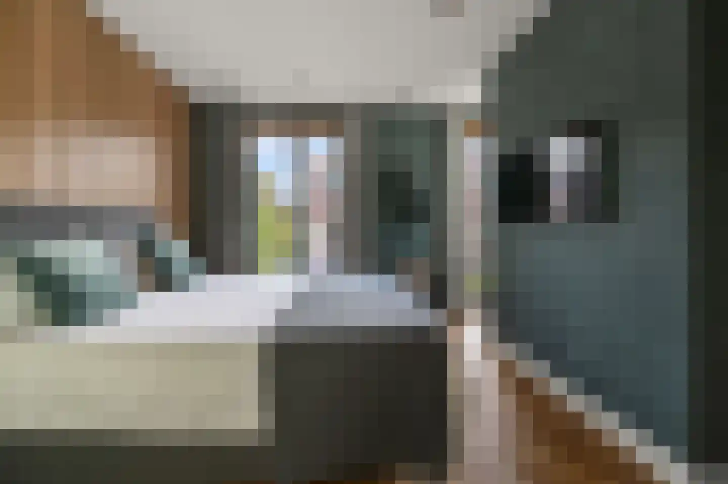 Thalassa 5 Wormerveer thumbnail 18