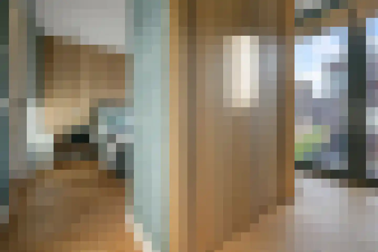 Thalassa 5 Wormerveer thumbnail 20