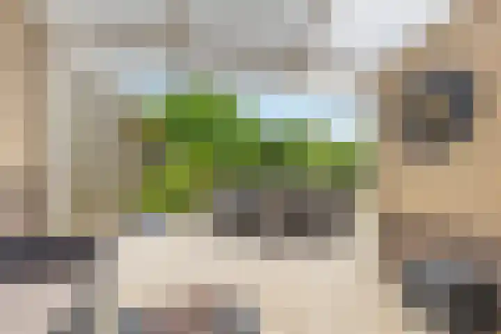 Thalesstraat 14 Brunssum thumbnail 21
