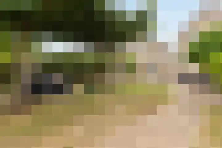 Thalesstraat 14 Brunssum thumbnail 24