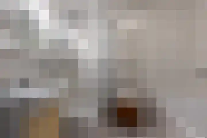 Thalesstraat 14 Brunssum thumbnail 33