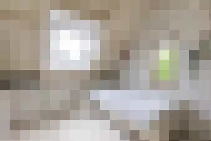 Thalesstraat 14 Brunssum thumbnail 35