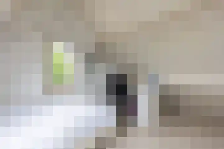 Thalesstraat 14 Brunssum thumbnail 36