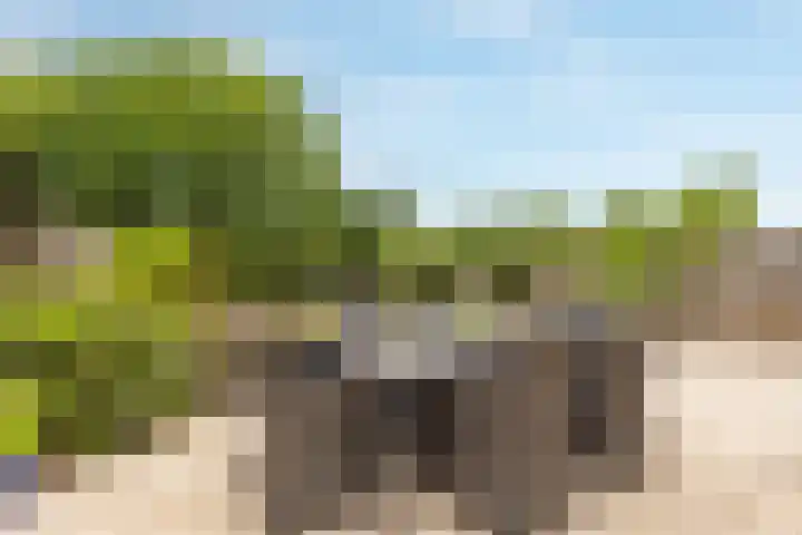 Thalesstraat 14 Brunssum thumbnail 7