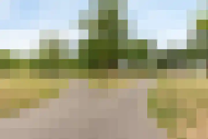 Thalesstraat 14 Brunssum thumbnail 8