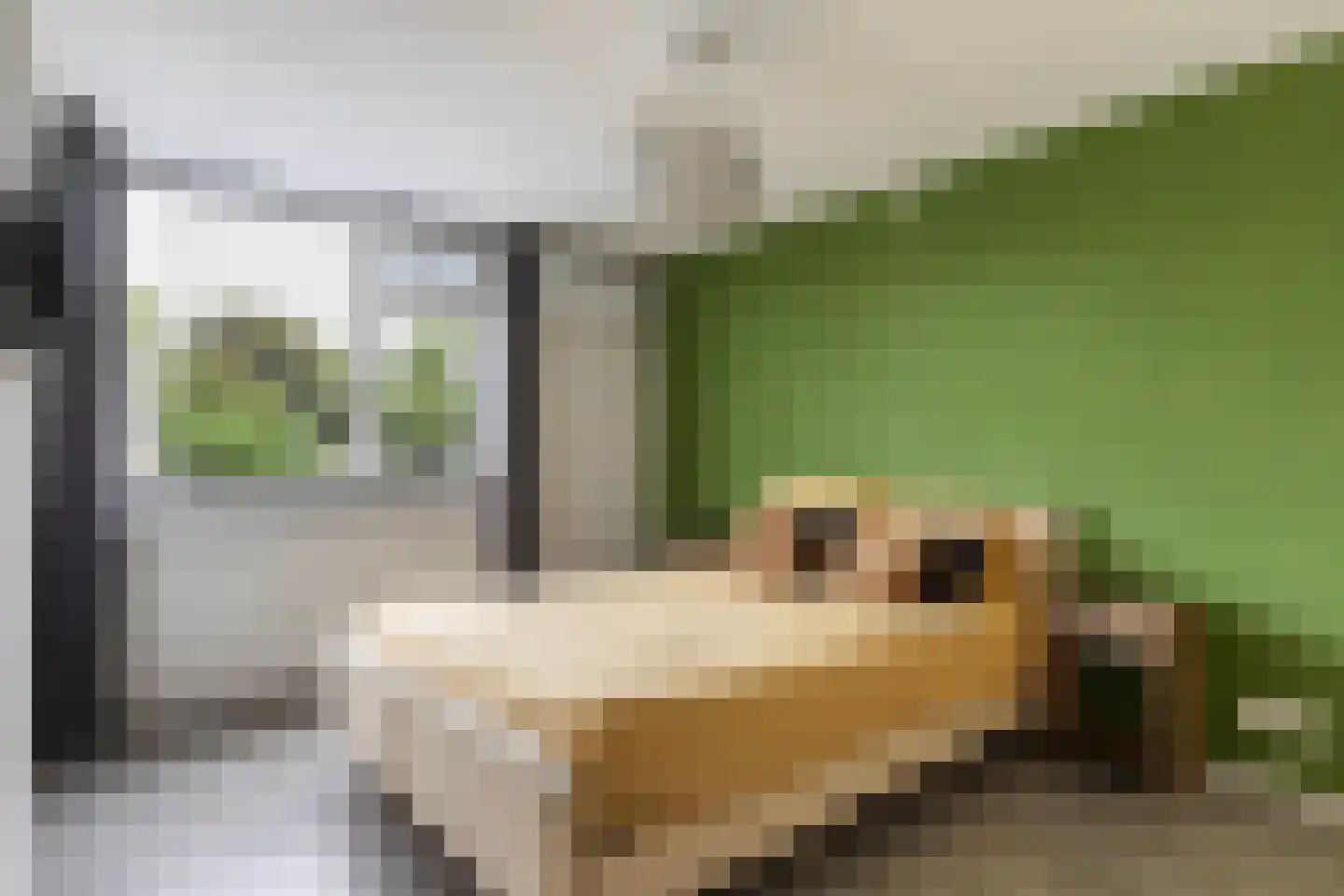 Thalesstraat 2 Apeldoorn thumbnail 14