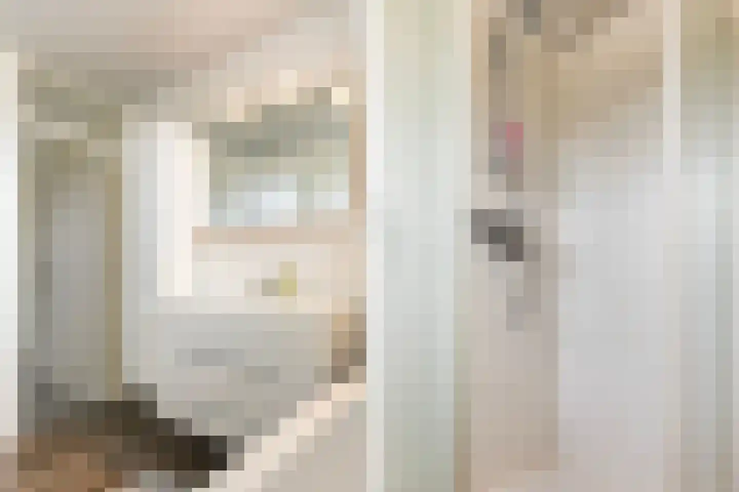 Thalesstraat 2 Apeldoorn thumbnail 20