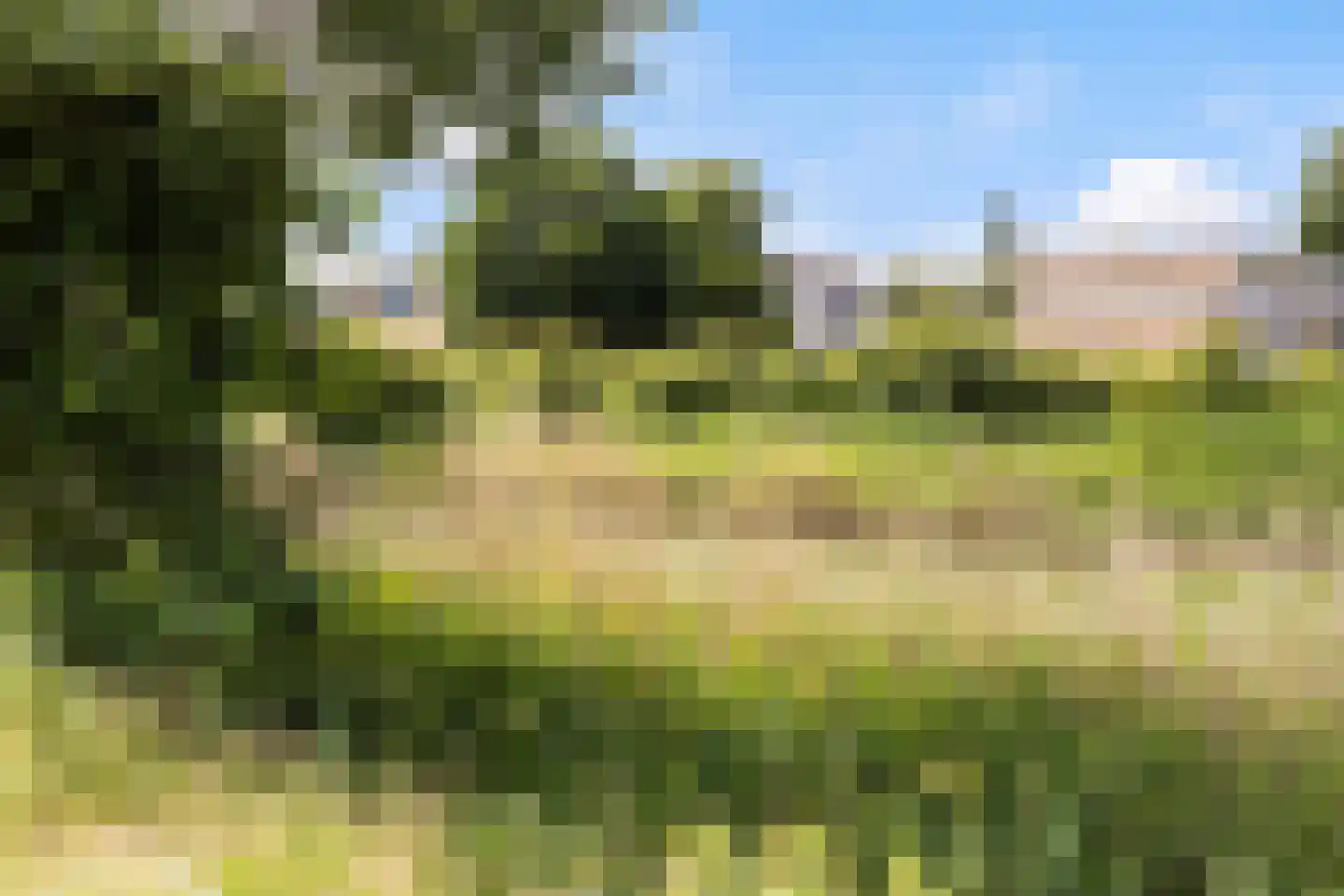 Thalesstraat 2 Apeldoorn thumbnail 34