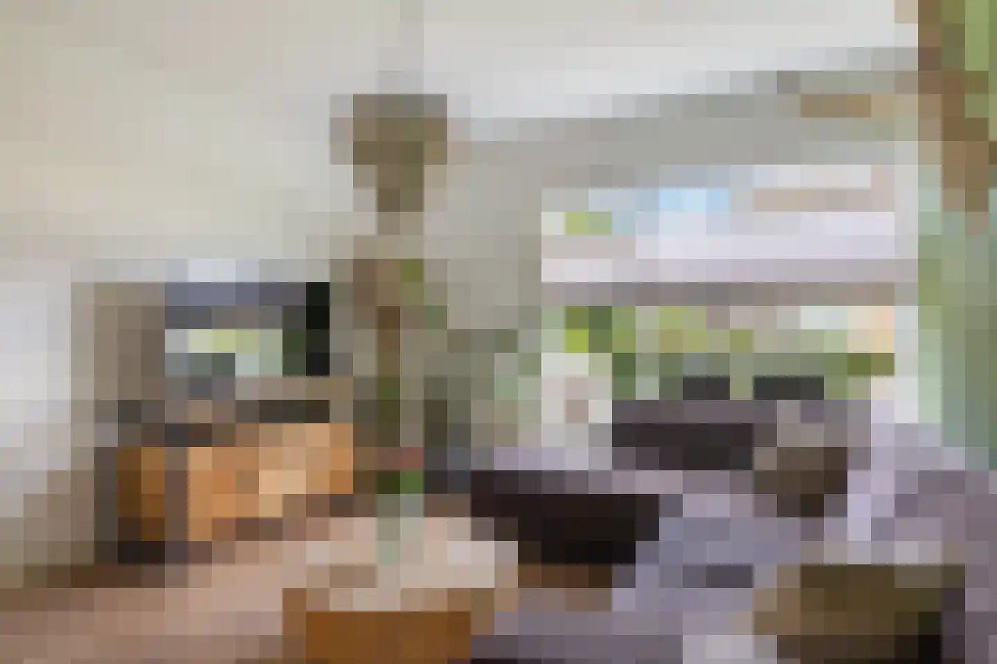 Thalesstraat 2 Apeldoorn thumbnail 4
