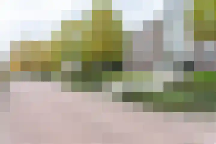Thalesstraat 21 Brunssum thumbnail 28