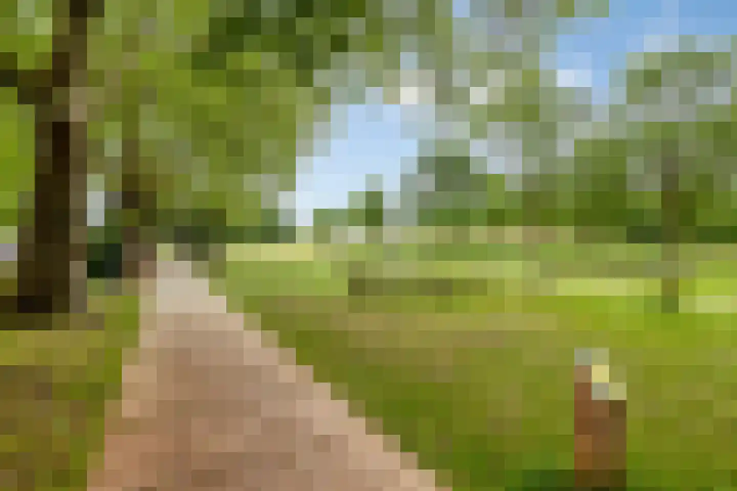 Thalesstraat 25 Brunssum thumbnail 38