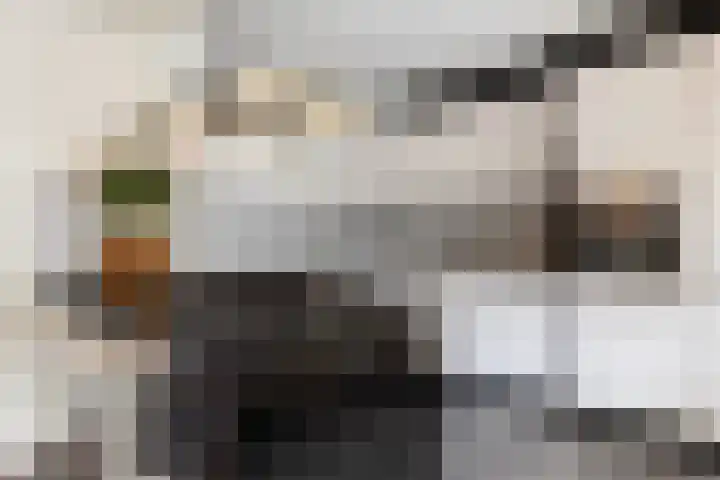 Thalesstraat 6 Apeldoorn thumbnail 10