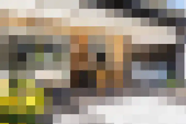 Thalesstraat 6 Apeldoorn thumbnail 12