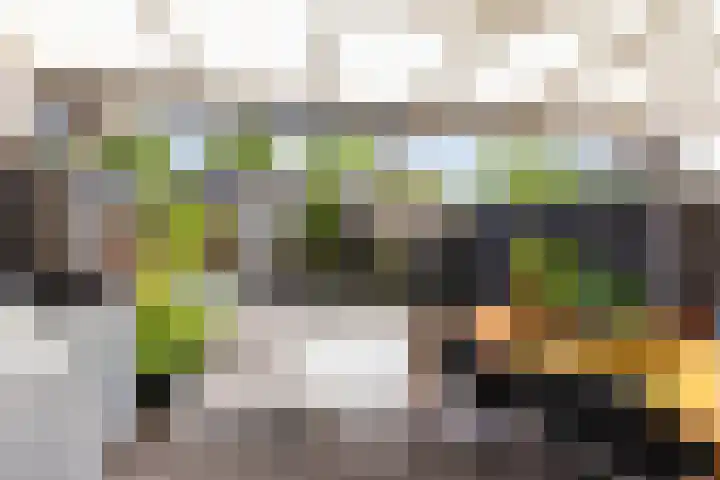 Thalesstraat 6 Apeldoorn thumbnail 13