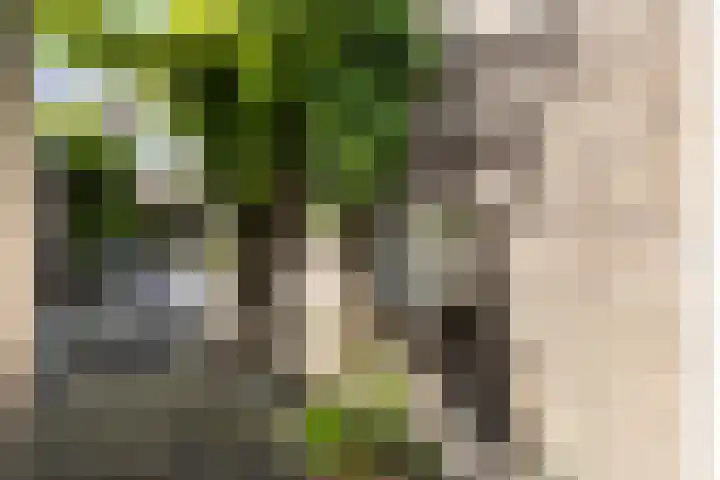 Thalesstraat 6 Apeldoorn thumbnail 16