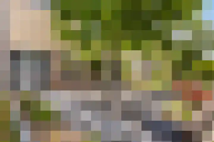 Thalesstraat 6 Apeldoorn thumbnail 18