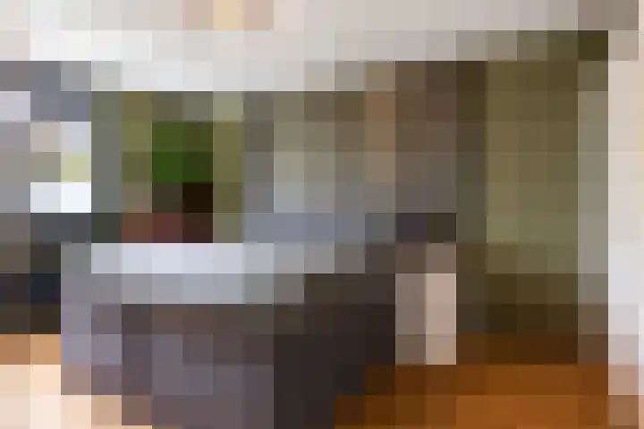 Thalesstraat 6 Apeldoorn thumbnail 22