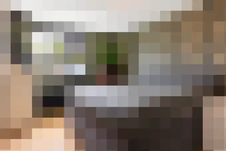 Thalesstraat 6 Apeldoorn thumbnail 23