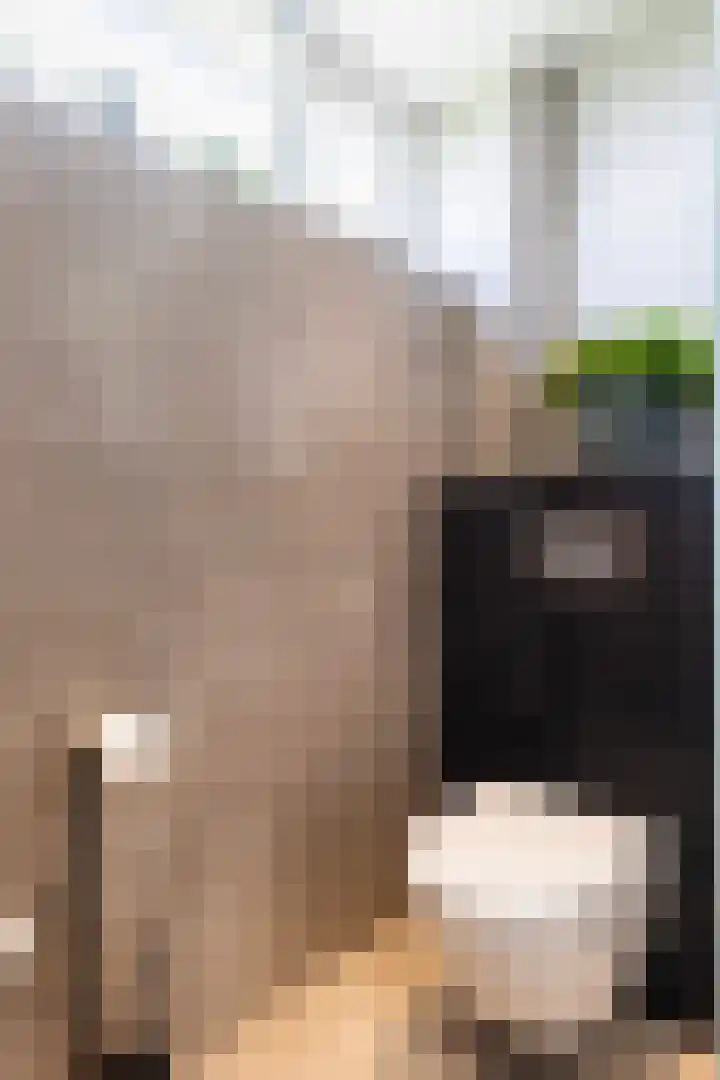 Thalesstraat 6 Apeldoorn thumbnail 29