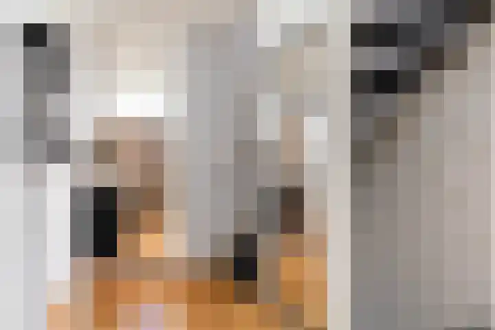 Thalesstraat 6 Apeldoorn thumbnail 31