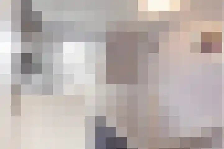 Thalesstraat 6 Apeldoorn thumbnail 33