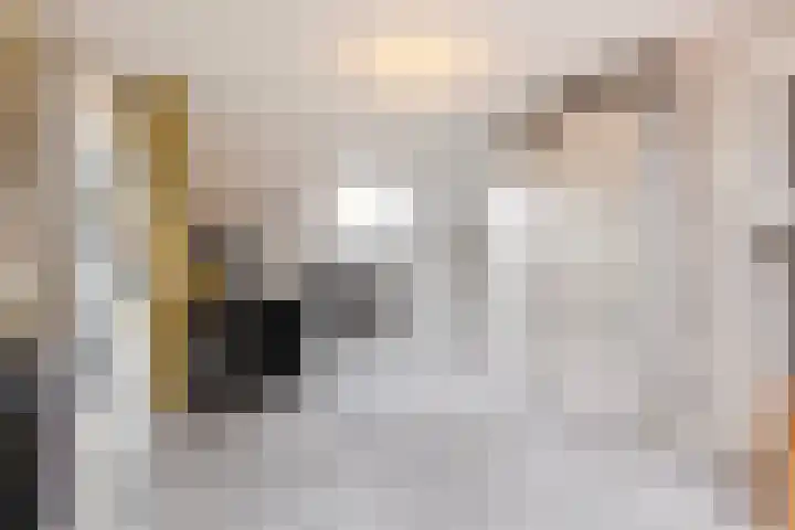 Thalesstraat 6 Apeldoorn thumbnail 34