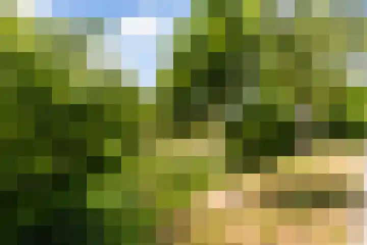 Thalesstraat 6 Apeldoorn thumbnail 42