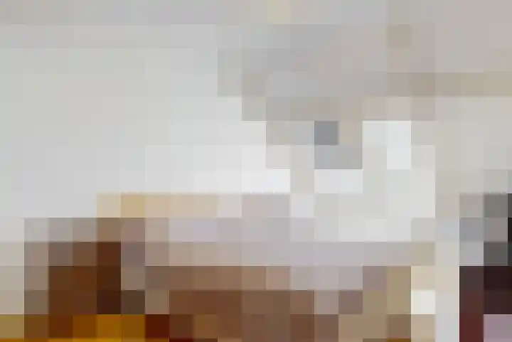 Thalia 13 Limmen thumbnail 17