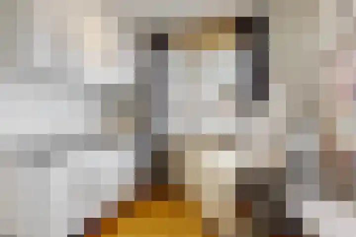 Thalia 13 Limmen thumbnail 20