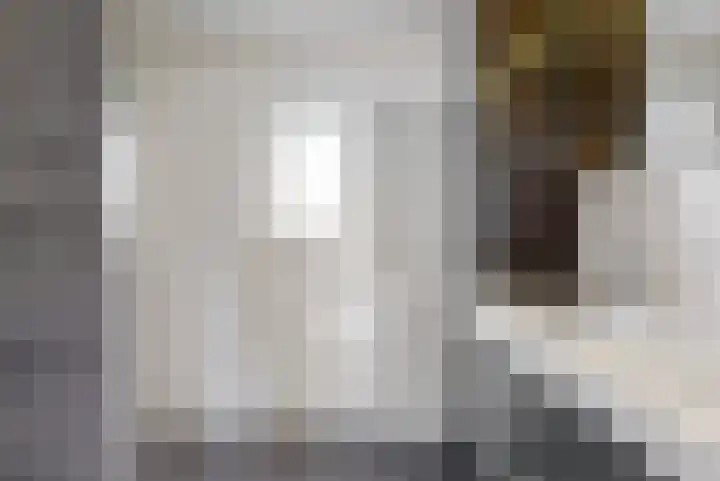 Thalia 13 Limmen thumbnail 21
