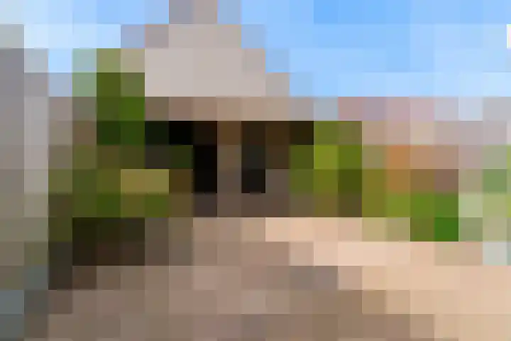 Thalia 13 Limmen thumbnail 32