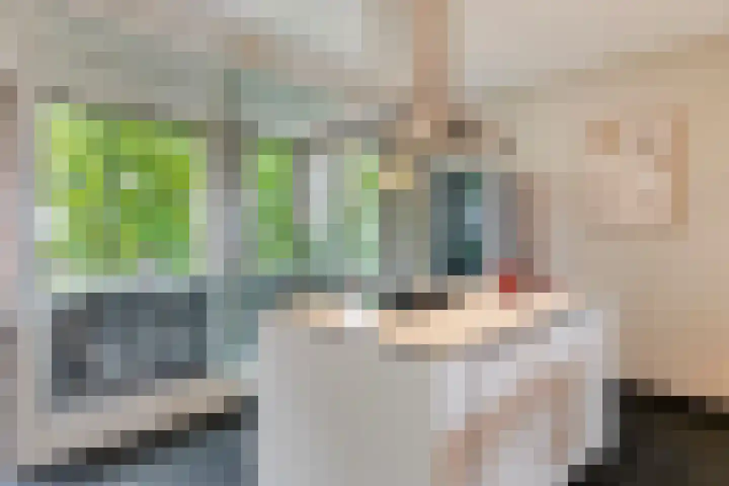 Thaliaplein 4 Bergen op Zoom thumbnail 39