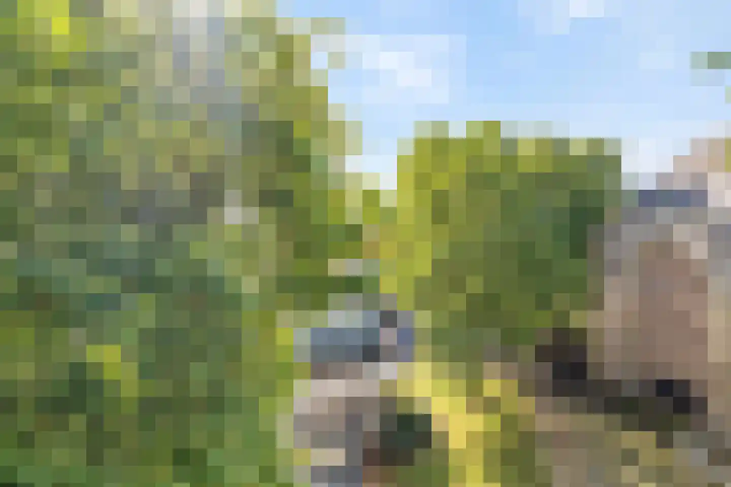 Thaliaplein 4 Bergen op Zoom thumbnail 77