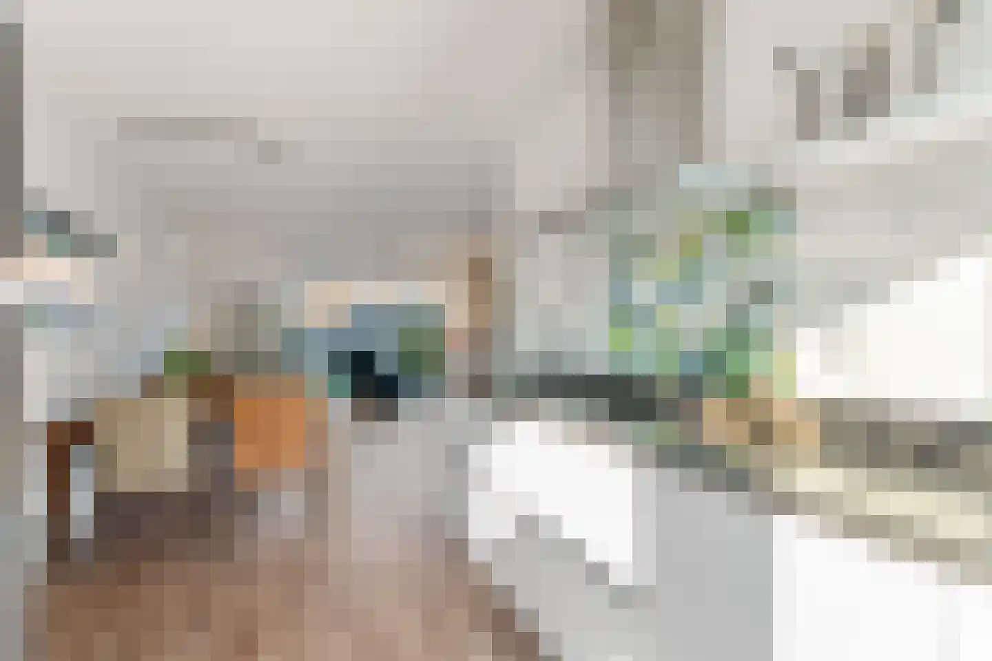 Thaliastraat 145 Arnhem thumbnail 13