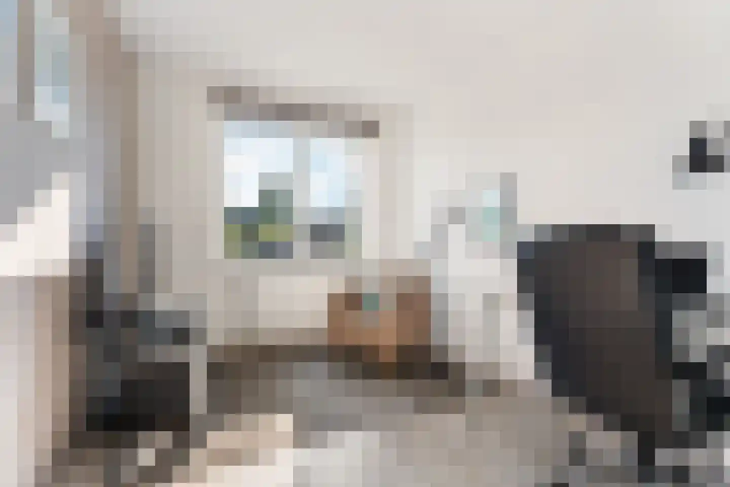 Thaliastraat 145 Arnhem thumbnail 20