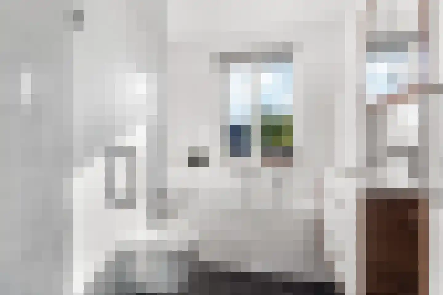 Thaliastraat 145 Arnhem thumbnail 24