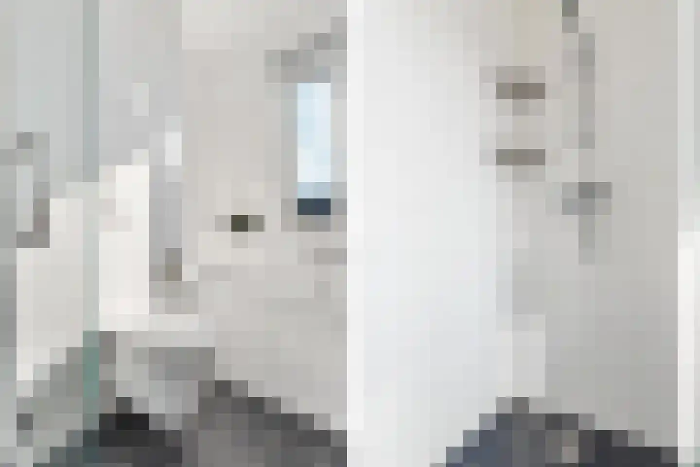 Thaliastraat 145 Arnhem thumbnail 25