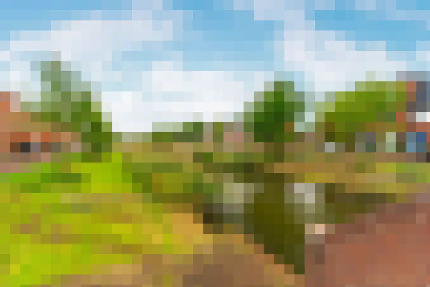 Thaliastraat 145 Arnhem thumbnail 49