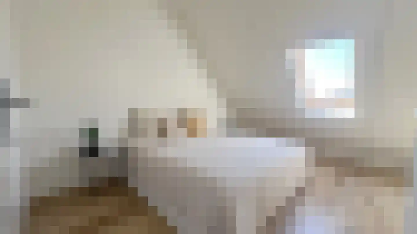 Thaliastraat 197 Arnhem thumbnail 31