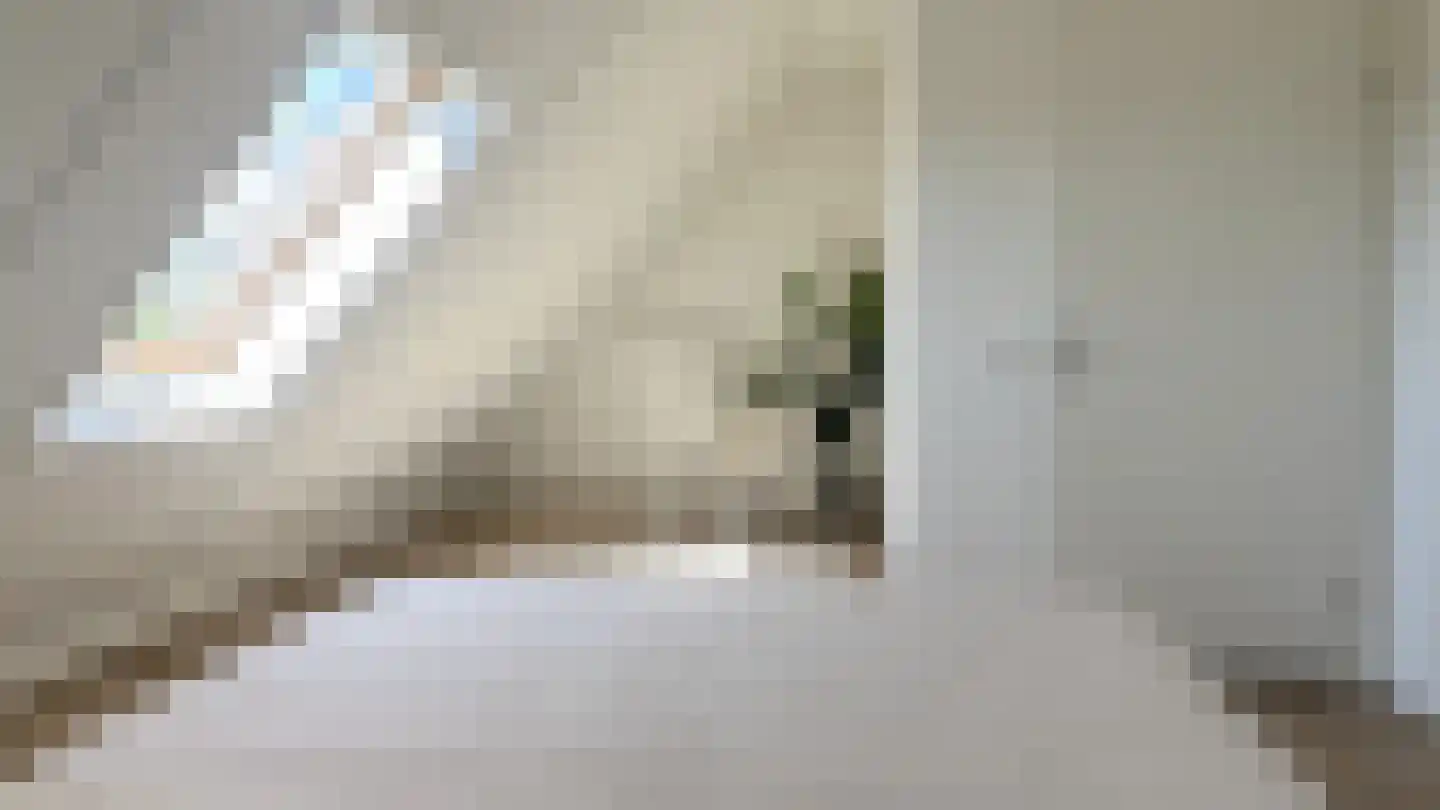 Thaliastraat 197 Arnhem thumbnail 32