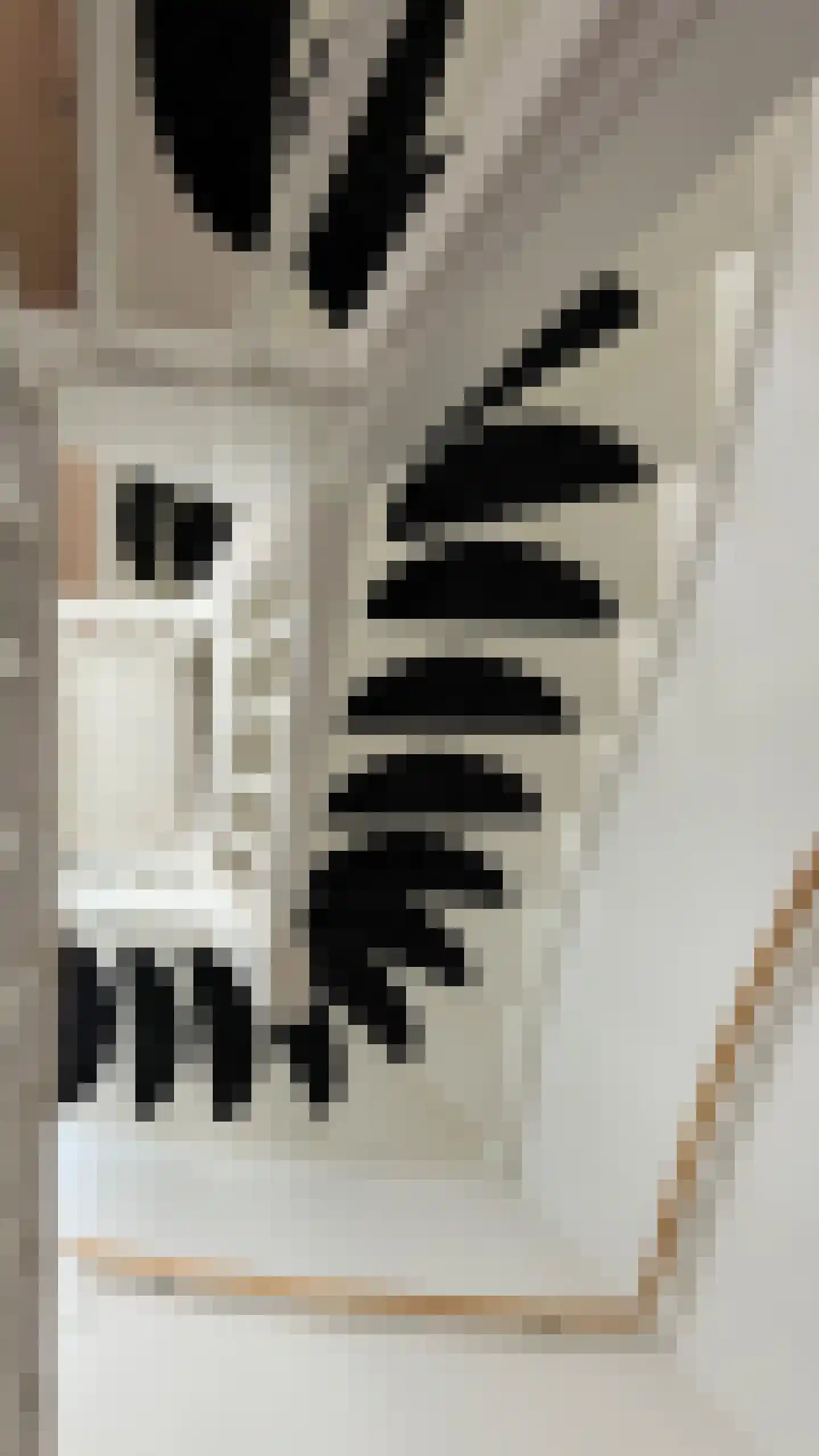 Thaliastraat 197 Arnhem thumbnail 35