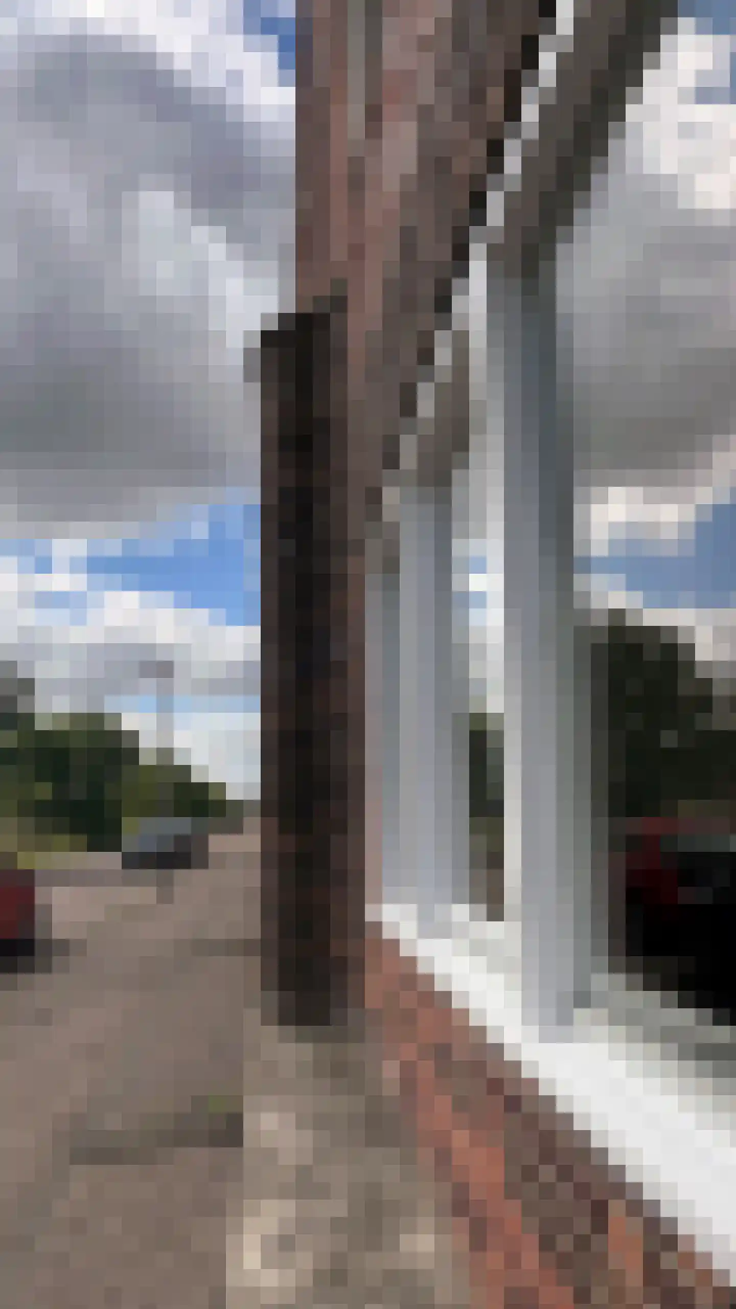 Thaliastraat 197 Arnhem thumbnail 38