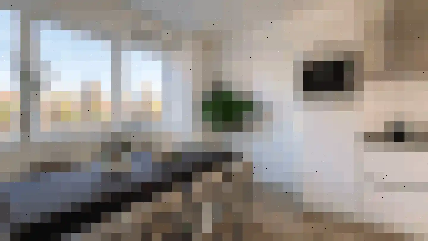 Thaliastraat 197 Arnhem thumbnail 7