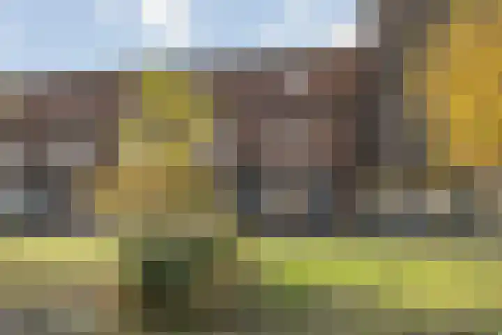 Thaliastraat 201 Arnhem